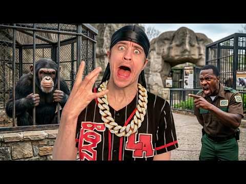 Chimping Out at the Zoo