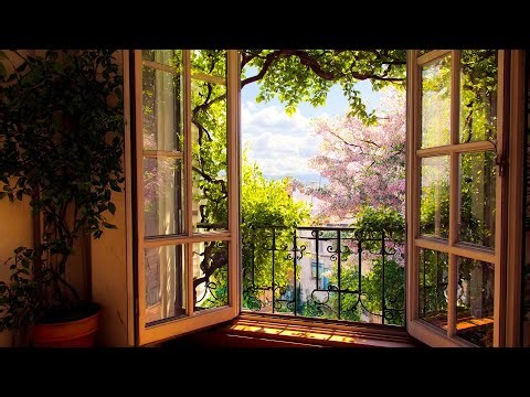 🌷 Balcony Bloom View 🌤️ Spring Window ASMR + Birdsong for Relaxation, Study Flow & Calm 📚
