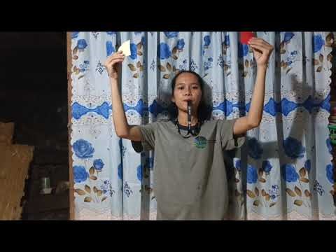 25 BASIC HAND SIGNALS | VOLLEYBALL REFEREE