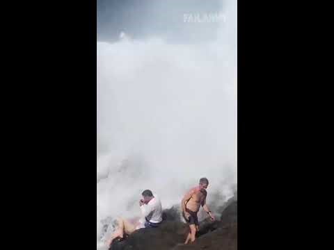 FailArmy's Best TikToks | Live Stream