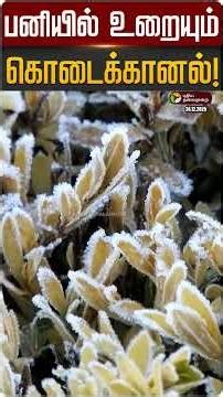 பனியில் உறையும் கொடைக்கானல்! | #kodaikanal | #climate | #winter | #shorts | PTD