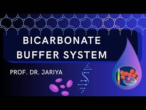 BICARB BUFFER SYSTEM