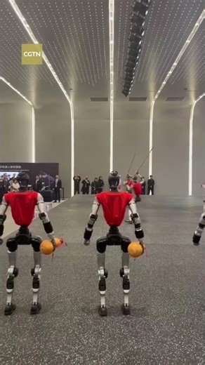 German Chancellor Friedrich Merz visits Unitree Robotics, watches robot martial arts demonstration