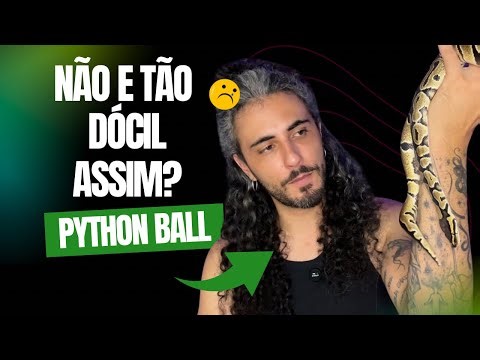 Python Ball: Ideal para iniciantes ou não? #ballpython #python #snake
