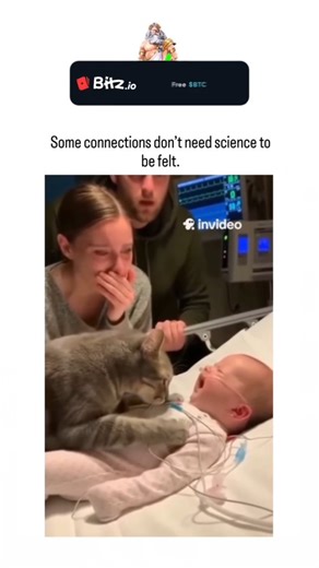 MD Rehan on Instagram: "This viral 20-second clip captures a moment that feels almost impossible to explain. In a quiet hospital room, a cat refuses to leave the side of a sick infant, staying close with an unshakable calm. While machines hum in the background and parents watch anxiously, the cat gently interacts with the baby, as if sensing something no one else can. Then comes the moment that breaks everyone. The baby shows a sudden, positive response, and the parents’ emotions spill over—reli