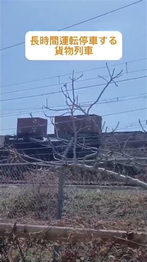 長時間運転停車する貨物列車
