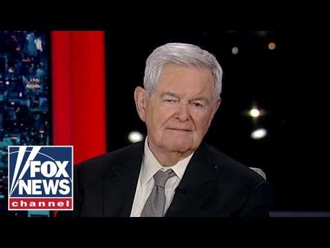 Trump himself is about 'half the story': Newt Gingrich