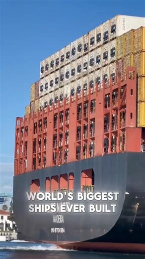 This Ship is LITERALLY Bigger Than an Island! 🏝️ (MSC Megaships) 🚢