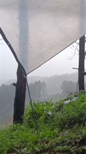 TRAPPED IN FREEZING RAIN! Emergency Shelter Solo Camping #heavyraincamping #solocamping #bushcraft
