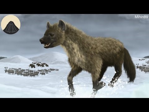 The Mystery of the Cave Hyena