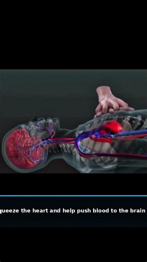 ❤️‍🩹 How Does CPR Actually Work?