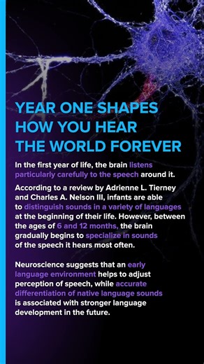 How Babies Learn Language: What Happens in the Brain (0–12 Months)