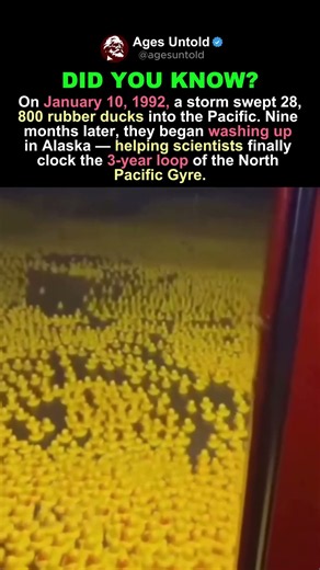 NINE MONTHS TO ALASKA