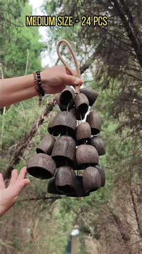 The Sound of the Earth 🌍 Salin Seed Pod Rattle ASMR SYL95299#shorts