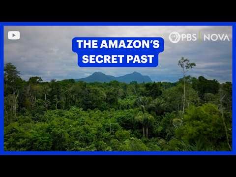 What Lies Hidden Beneath the Amazon Rainforest? | NOVA | PBS
