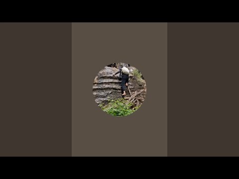 Village Life: The Simple Lifestyle of a Nomadic Family in a Village in the Zagros Mountains iran ⛰️🏞