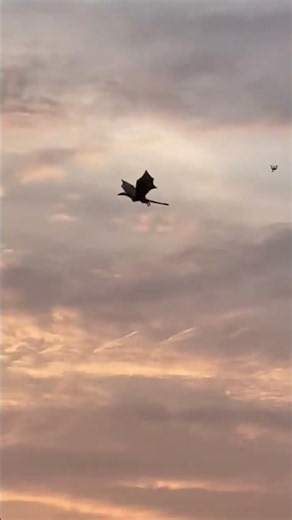 Game of Thrones 'Dragon' Seen Flying Over Glasgow Ahead of Commonwealth Games