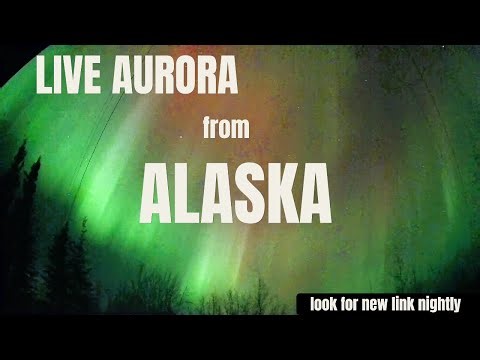 LIVE! Alaska Aurora Live Stream Apr 29-30 2026