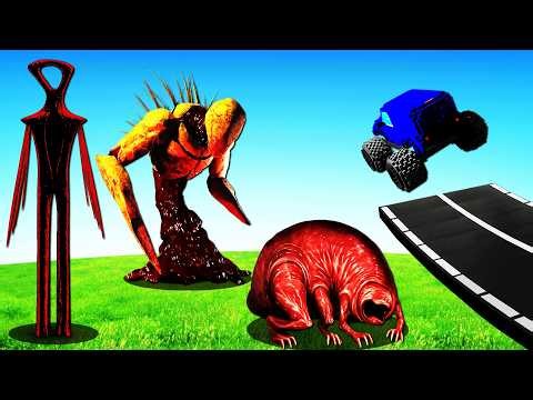 VITA CARNIS vs CARS