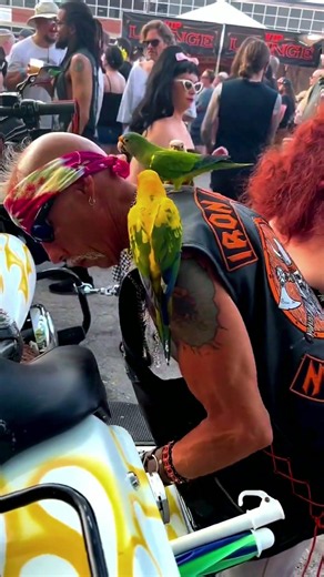Harley, Parrots And Pure Biker Vibes 🏍️🦜🔥