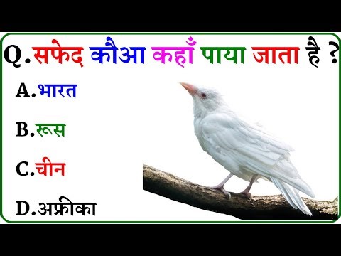 GK Question || GK In Hindi || GK Question and Answer || GK Quiz ||