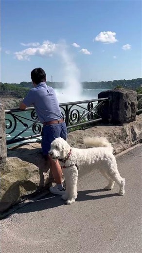 Niagara Falls Day Trip 💙