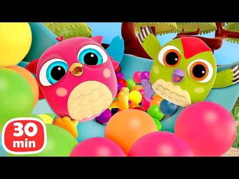 Baby Birds Play with Balls & Toy Helicopter, Cook Toy Pizza & Have Fun