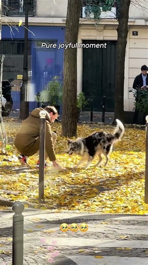 Phillies land All-Star closer Jhoan Duran ahead of MLB trade deadline 👀🔥 #JhoanDuran