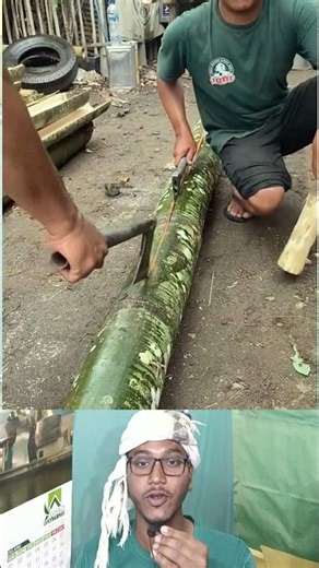 Giant Bamboo Splitting | মোটা বাঁশ কাঠের গুড়ির মতো করে ফাটানো হচ্ছে 🎋🪓 #shorts #bamboo #wood #facts