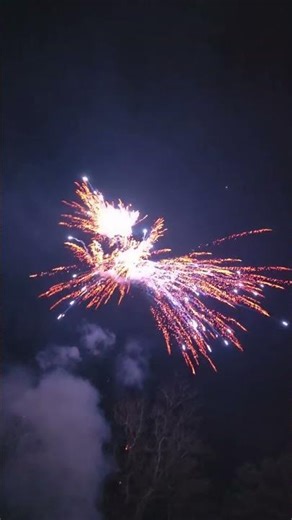 💥💥SKY RAVE B🔥🔥 52 SHOT FIREWORK BY FOX #fireworks