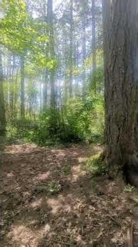 psychology is pathology is the culture of War at every level in white society