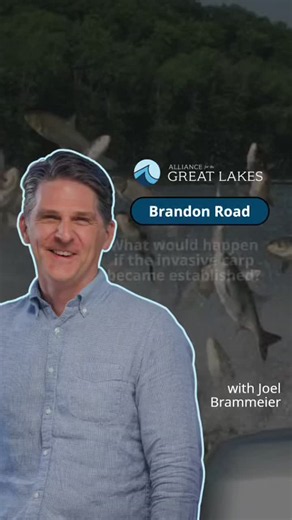#invasivecarp #brandonroadproject #brandonroad #protectthegreatlakes | Alliance for the Great Lakes