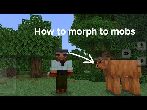 How to download a morphing mod for minecraft