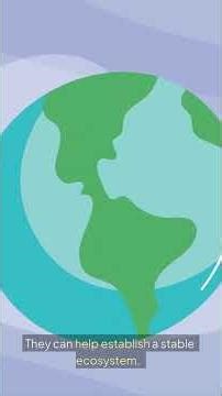 Terraforming Mars Transforming the Red Planet!