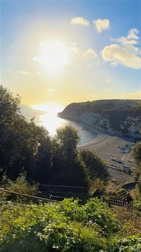 Devon coastal paths in Beer are simply breathtaking. Pure Devon magic🫶 #DevonCoast #shortvideo