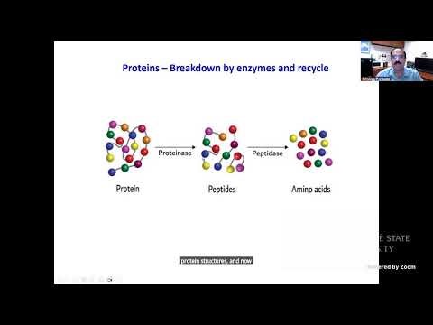 Next-Gen Healing: Designed by Algorithms.