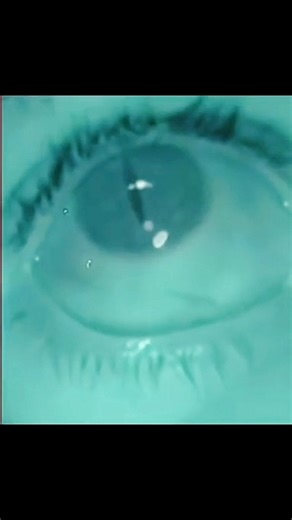 #fypシ #area51 #paranormal #UAP #ufosighting #aliens #UFO #unexplained #extraterrestrial | Alien World