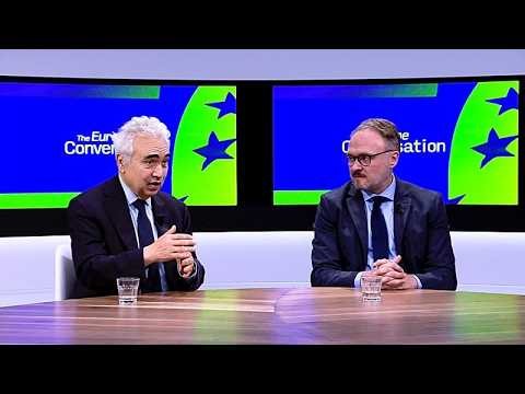 Exclusive: ‘More grids, more electricity, less fossil fuels,’ energy leaders tell Euronews