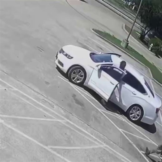 🚨 UPDATE: It was an ILLEGAL ALIEN who FAFO'd and got killed by a Texas father after trying to steal the father's car, per @Brooketaylortv Jose Ramirez came from Mexico, started PLUNDERING and PILLAGING Americans, then he found out.This father was defending his FAMILY from the scumbag as well.Illegals who come to America might've been allowed to LEECH and STEAL — but they also have to reckon with the fact citizens have a 2nd Amendment right and the right to self defense 🇺🇸