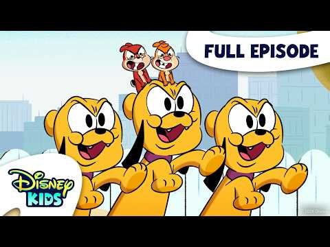 Hamster Paradise / Puppy Papas / The Adorables | Chip 'n' Dale: Park Life S2 E17 | @disneykids
