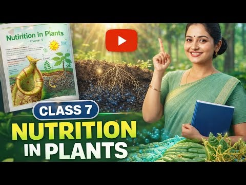 Class 7 Science Chapter 1 | Nutrition in Plants 🌱 Full Explanation (Easy Way!)