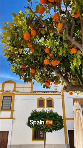 Nerja, Spain 🇪🇸 | Hidden Coastal Paradise of Andalusia