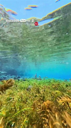 Breath in and find a whole new world... | Insta360 Ace Pro 2