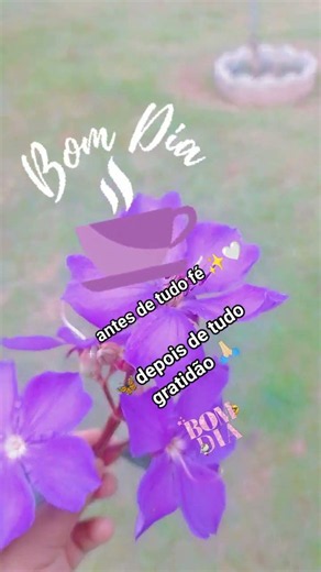 #shortvideo #videoshort #bomdia #fe #reflexão #motivacional #gratidão