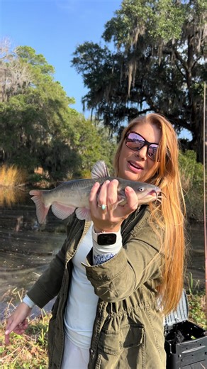 Catching Catfish in the Creek: A Fun Fishing Adventure