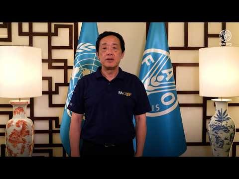 World Food Day 2026 – Video Message by QU Dongyu, FAO Director-General