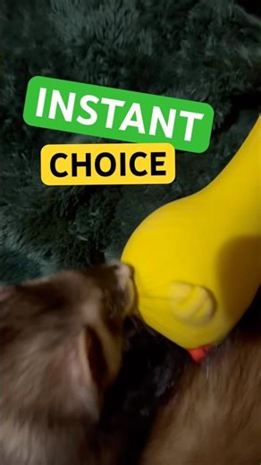 How Fast Choices Really Work