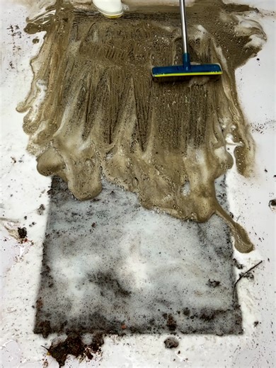 ASMR Dirt Eraser: Reviving Your Rug's Hidden Elegance