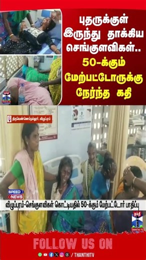 Villupuram | Wasp | Sting