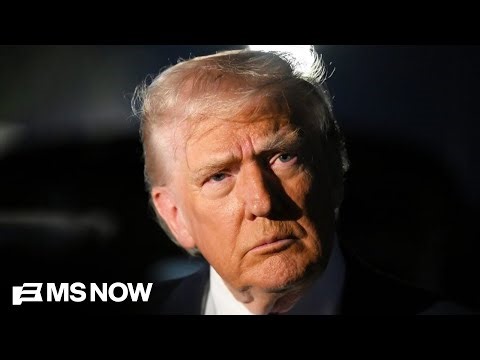 Economist: Trump’s pricing pitch like a ‘bandage over a bullet wound’